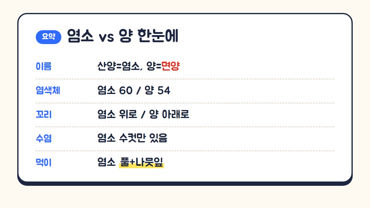 염소와 양 한눈에: 산양은 염소이고 양은 면양, 염색체 염소 60개 양 54개, 꼬리는 염소 위로 양 아래로, 턱수염은 염소 수컷만, 염소는 풀과 나뭇잎을 먹음