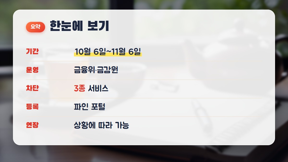 한눈에 보기: 10월 6일~11월 6일, 금융위·금감원 운영, 안심차단 3종, 파인 등록